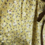 cocomag_grow_20120127_10 cocomag_grow_20120127_10