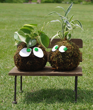 cocomag_news_20120112_01