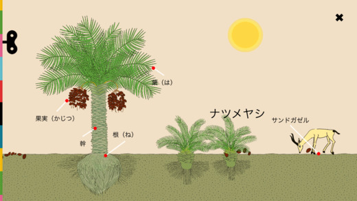 cocomag_Plants_02