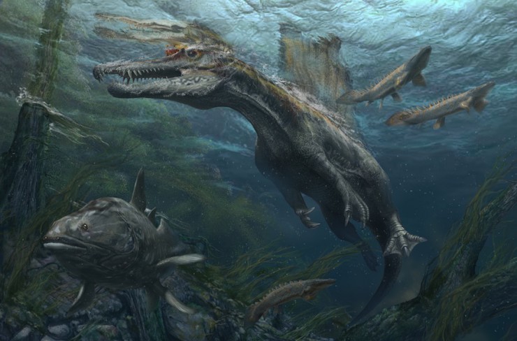 スピノサウルス復元画:©Davide Bonadonna